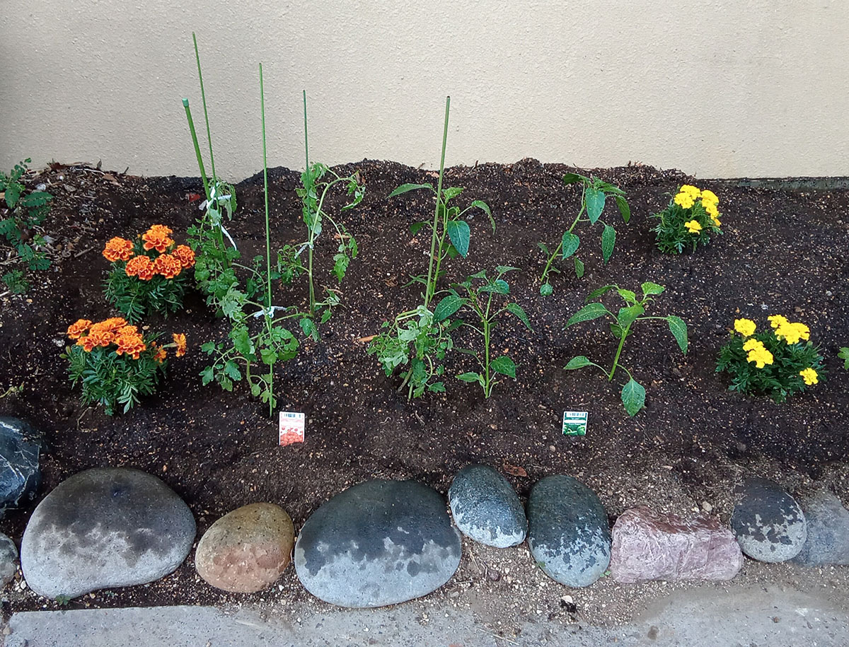 文京本郷高齢者在宅サービスセンター